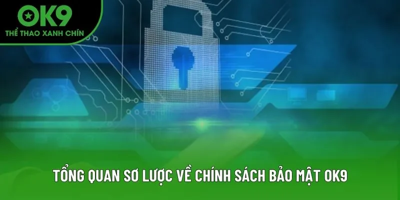 Tổng quan sơ lược về chính sách bảo mật OK9