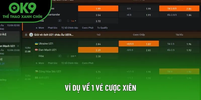 Ví dụ về một vé cược xiên OK9 điển hình